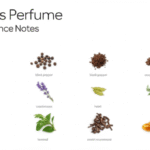 Featured image for What Are the 30 Most Popular Perfume Notes Fragrances for Men 2025